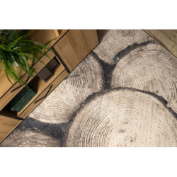 Dywan FUSION 9612 krem / beż - Pień, drzewo, drewno, nowoczesny, abstrakcyjny 200x290cm