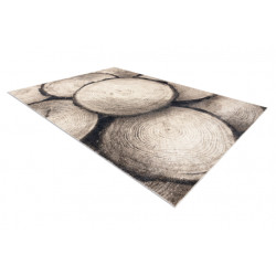 Dywan FUSION 9612 krem / beż - Pień, drzewo, drewno, nowoczesny, abstrakcyjny 280x370cm