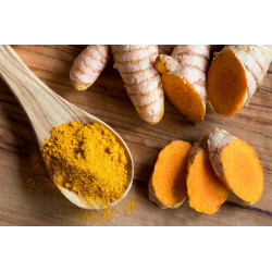 Activlab Pharma ActiFytol Zdrowe stawy kości ścięgna Kurkuma Curcuma Longa Activlab Pharma ActiFytol Zdrowe stawy kości ścięgna Kurkuma Curcuma Longa