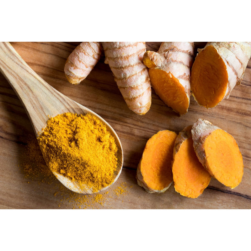Activlab Pharma ActiFytol Zdrowe stawy kości ścięgna Kurkuma Curcuma Longa Activlab Pharma ActiFytol Zdrowe stawy kości ścięgna Kurkuma Curcuma Longa