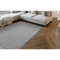 Dywan ETON PLUS jasnoszary jednolity, jednokolorowy, gładki 200x300cm
