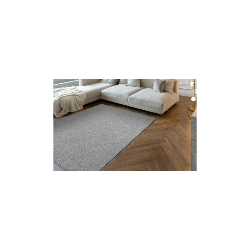 Dywan ETON PLUS jasnoszary jednolity, jednokolorowy, gładki 300x400cm