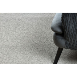 Dywan ETON PLUS jasnoszary jednolity, jednokolorowy, gładki 300x400cm