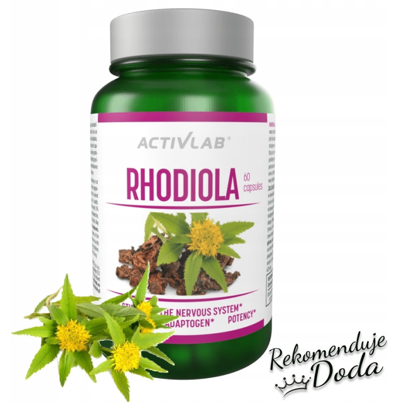 ACTIVLAB RHODIOLA RÓŻENIEC GÓRSKI ADAPTOGEN STRES SPOKÓJ PAMIĘĆ ENERGIA ACTIVLAB RHODIOLA RÓŻENIEC GÓRSKI ADAPTOGEN STRES SPOKÓJ PAMIĘĆ ENERGIA