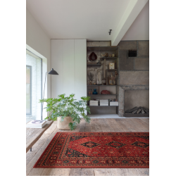Dywan Osta Kashqai 4354 300