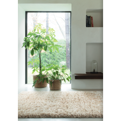 Dywan Osta Rhapsody 2501101 Sand