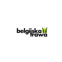 Sztuczna trawa WimbSedon