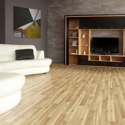 WYKŁADZINA PCV GUMOLIT LINOLEUM BONUS 150cm 605-01 deska