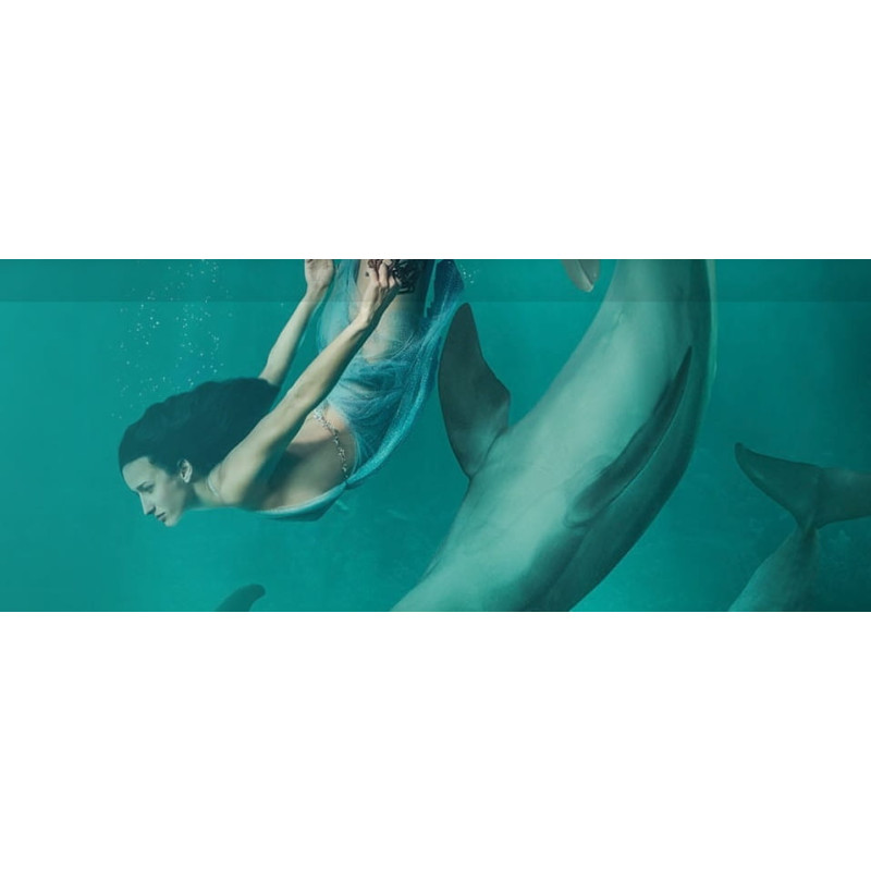 Wykładzina dywanowa AW Sedna Moana 14 Wykładzina dywanowa AW Sedna Moana 14