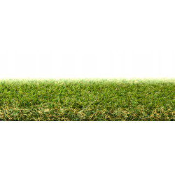 SZTUCZNA TRAWA 1750x400cm WYKŁADZINA MIĘKKA SOFT OGRÓD BOISKO BALKON TARAS SZTUCZNA TRAWA 1750x400cm WYKŁADZINA MIĘKKA SOFT OGRÓD BOISKO BALKON TARAS