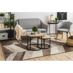 Dywan FEEL 5673/15044 JODEŁKA c.brąz / beż / krem / szary 200x290cm