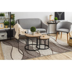 Dywan FEEL 5675/15011 FALE c.brąz / beż / krem 140x190cm