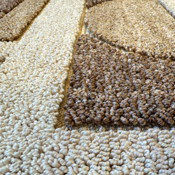 ARNO ARNO 4 BEIGE / CREAM PROSTOKĄT