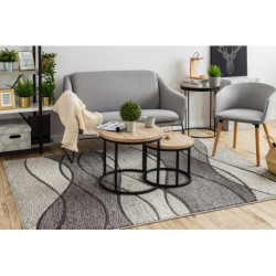 Dywan FEEL 5675/16811 FALE szary / antracyt / krem 180x270cm