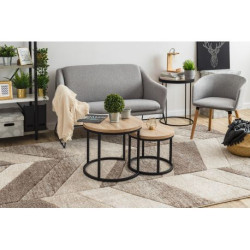 Dywan FEEL 5673/15055 JODEŁKA beż / brąz / krem 200x290cm