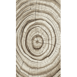 Dywan Dywilan Luna 9 Wood Beige Dywan Dywilan Luna 9 Wood Beige