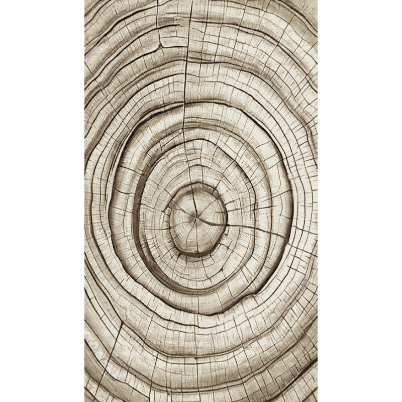 Dywan Dywilan Luna 9 Wood Beige Dywan Dywilan Luna 9 Wood Beige
