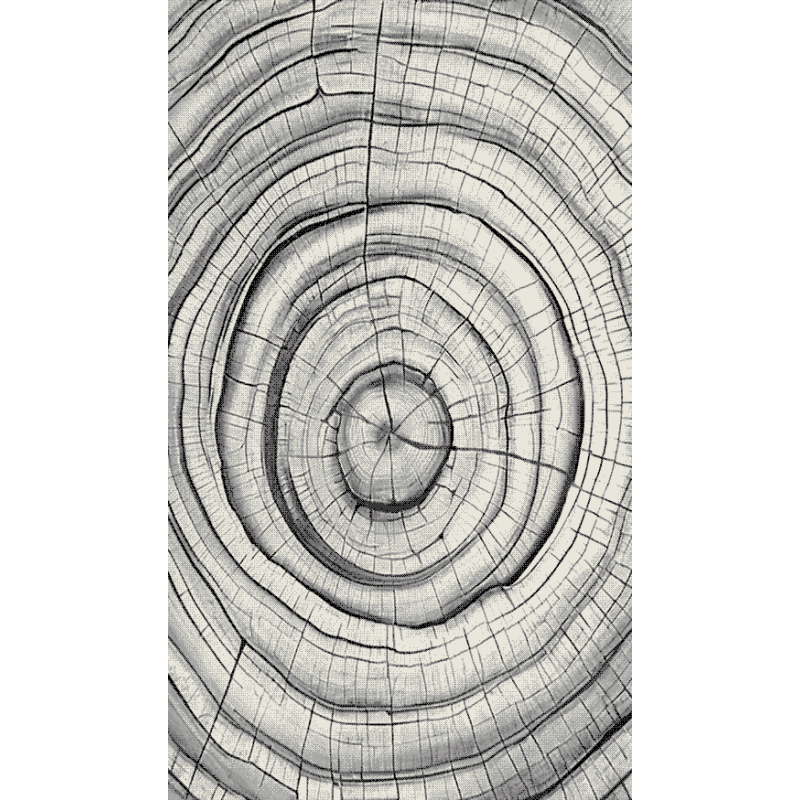 Dywan Dywilan Luna 9 Wood Grey Dywan Dywilan Luna 9 Wood Grey