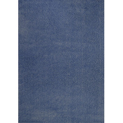 Dywan Dywilan DelicDte Denim