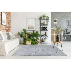 Dywan Strukturalny SIERRA G5013 Płasko tkany, dwa poziomy runa szary - zygzak, etniczny 120x170cm Dywan Strukturalny SIERRA G5013 Płasko tkany, dwa poziomy runa szary - zygzak, etniczny 120x170cm