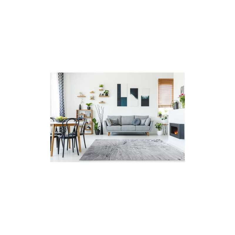 Dywan MEFE nowoczesny 2784 Pień drzewo drewno - Strukturalny, dwa poziomy runa szary 80x150cm Dywan MEFE nowoczesny 2784 Pień drzewo drewno - Strukturalny, dwa poziomy runa szary 80x150cm