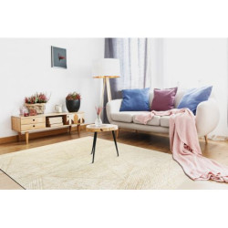 Dywan PURE geometryczny 5843-17733 krem 120x160cm Dywan PURE geometryczny 5843-17733 krem 120x160cm