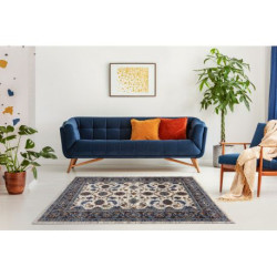 Dywan SOFT 6019 KWIATY RAMKA beż / niebieski / czerwony 120x170cm