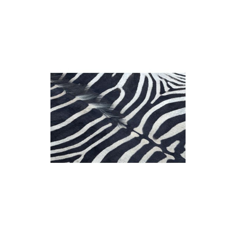 Dywan Sztuczna Skóra Bydlęca, Zebra G5128-1 Biało-czarna skórka 100x150cm