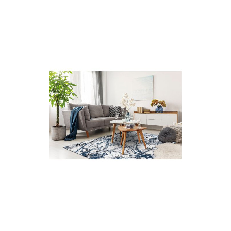 Dywan nowoczesny COZY 8871 Marble, Marmur - Strukturalny, dwa poziomy runa niebieski 240x330cm