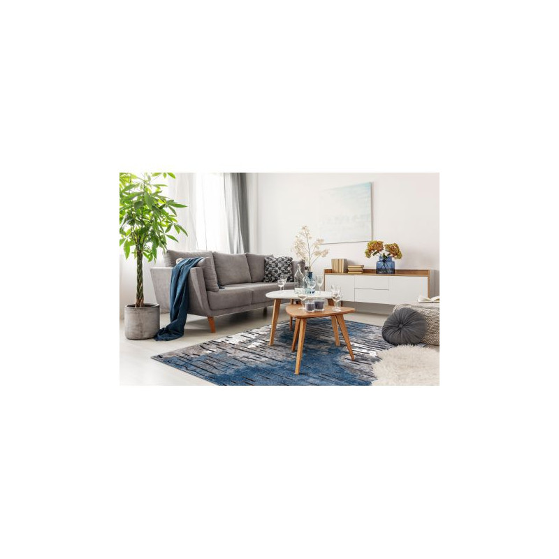 Dywan nowoczesny COZY 8876 Rio - Strukturalny, dwa poziomy runa niebieski 140x190cm Dywan nowoczesny COZY 8876 Rio - Strukturalny, dwa poziomy runa niebieski 140x190cm