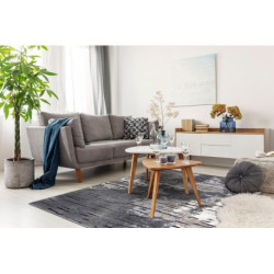 Dywan nowoczesny COZY 8876 Rio - Strukturalny, dwa poziomy runa szary 200x290cm
