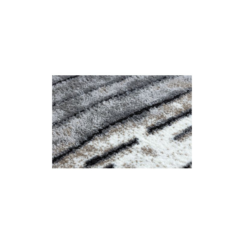 Dywan nowoczesny COZY 8876 Rio - Strukturalny, dwa poziomy runa szary 200x290cm