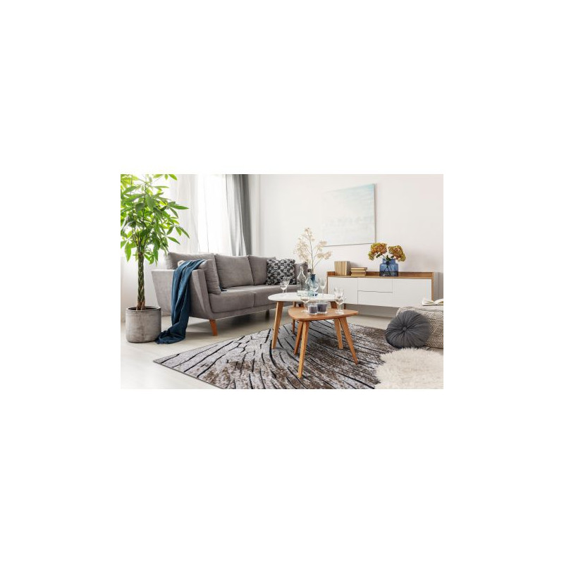 Dywan nowoczesny COZY 8874 Timber, Drzewo, drewno - Strukturalny, dwa poziomy runa brązowy 120x170cm Dywan nowoczesny COZY 8874 Timber, Drzewo, drewno - Strukturalny, dwa poziomy runa brązowy 120x170cm