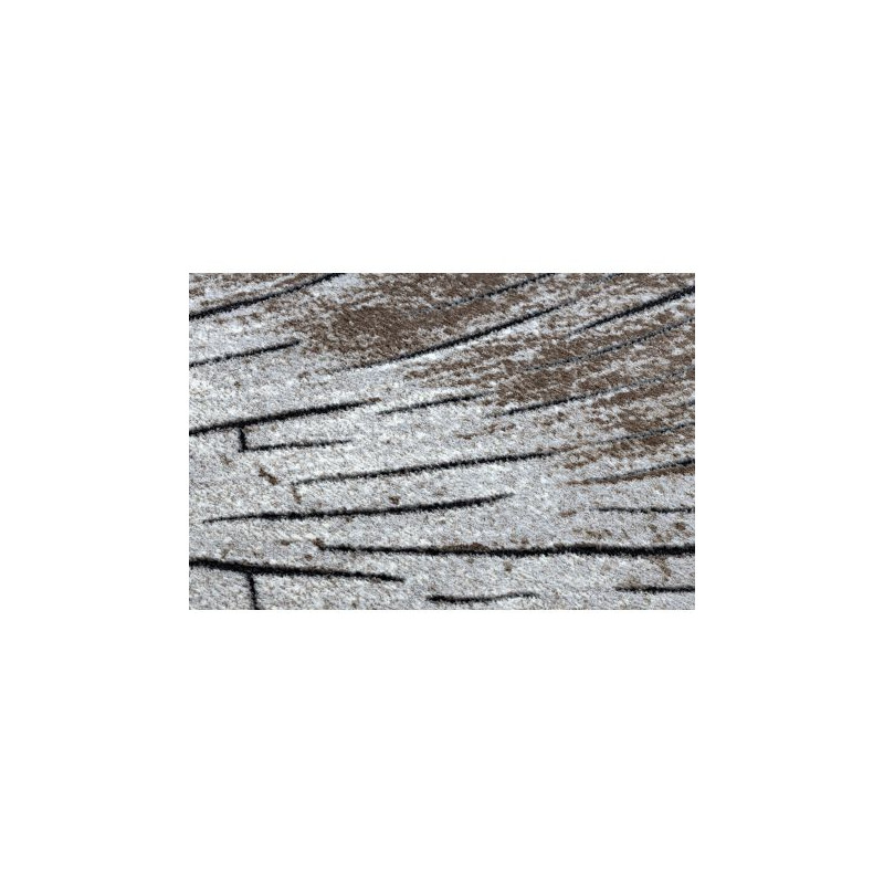 Dywan nowoczesny COZY 8874 Timber, Drzewo, drewno - Strukturalny, dwa poziomy runa brązowy 120x170cm Dywan nowoczesny COZY 8874 Timber, Drzewo, drewno - Strukturalny, dwa poziomy runa brązowy 120x170cm