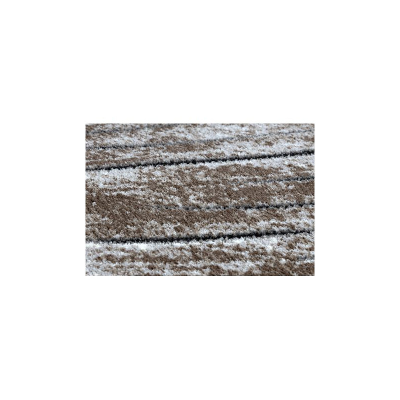 Dywan nowoczesny COZY 8874 Timber, Drzewo, drewno - Strukturalny, dwa poziomy runa brązowy 120x170cm Dywan nowoczesny COZY 8874 Timber, Drzewo, drewno - Strukturalny, dwa poziomy runa brązowy 120x170cm