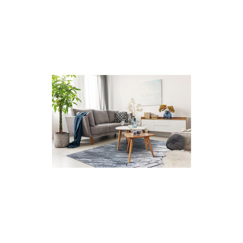 Dywan nowoczesny COZY 8874 Timber, Drzewo, drewno - Strukturalny, dwa poziomy runa szary / niebieski 280x370cm