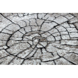Dywan nowoczesny COZY 8875 Wood, pień - Strukturalny, dwa poziomy runa brązowy 180x270cm