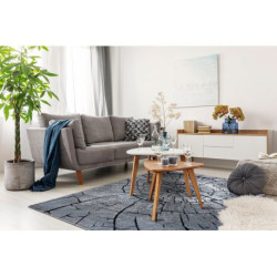 Dywan nowoczesny COZY 8875 Wood, pień - Strukturalny, dwa poziomy runa szary / niebieski 180x270cm Dywan nowoczesny COZY 8875 Wood, pień - Strukturalny, dwa poziomy runa szary / niebieski 180x270cm