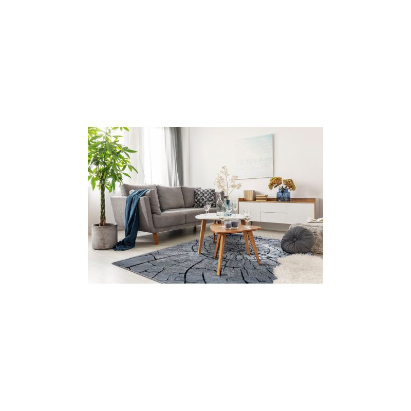 Dywan nowoczesny COZY 8875 Wood, pień - Strukturalny, dwa poziomy runa szary / niebieski 180x270cm Dywan nowoczesny COZY 8875 Wood, pień - Strukturalny, dwa poziomy runa szary / niebieski 180x270cm