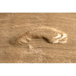 Dywan LAPIN Shaggy koło kość słoniowa / brązowy, antypoślizgowy, do prania koło 80cm Dywan LAPIN Shaggy koło kość słoniowa / brązowy, antypoślizgowy, do prania koło 80cm