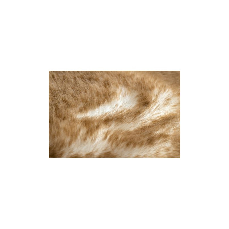 Dywan LAPIN Shaggy koło kość słoniowa / brązowy, antypoślizgowy, do prania koło 100cm Dywan LAPIN Shaggy koło kość słoniowa / brązowy, antypoślizgowy, do prania koło 100cm