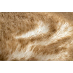 Dywan LAPIN Shaggy koło kość słoniowa / brązowy, antypoślizgowy, do prania koło 120cm