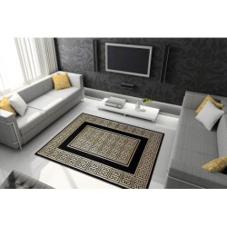 Dywan GLOSS nowoczesny  6776 86 stylowy, ramka, grecki klucz czarny / złoty 200x290cm