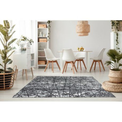 Dywan ZARA 0W7053 P50 140 - Strukturalny, dwa poziomy runa szary 200x290cm