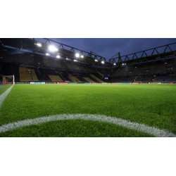 Sztuczna trawa WIMBLEDON BOISKO TARAS 200x2940cm