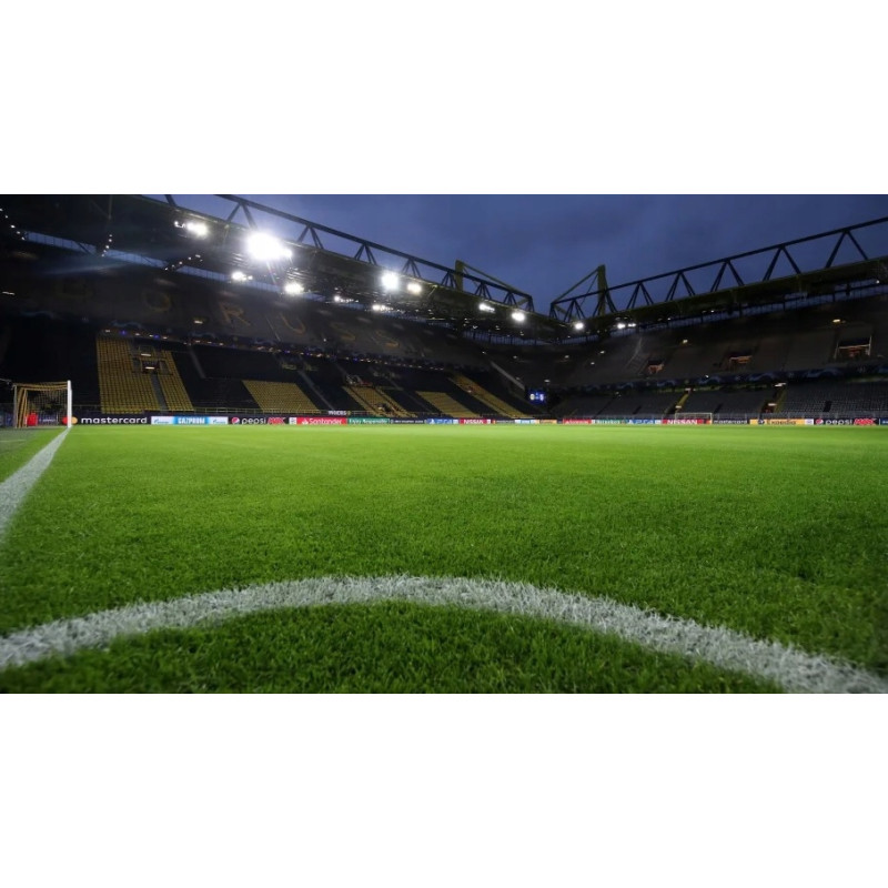 Sztuczna trawa WIMBLEDON BOISKO TARAS 200x300cm