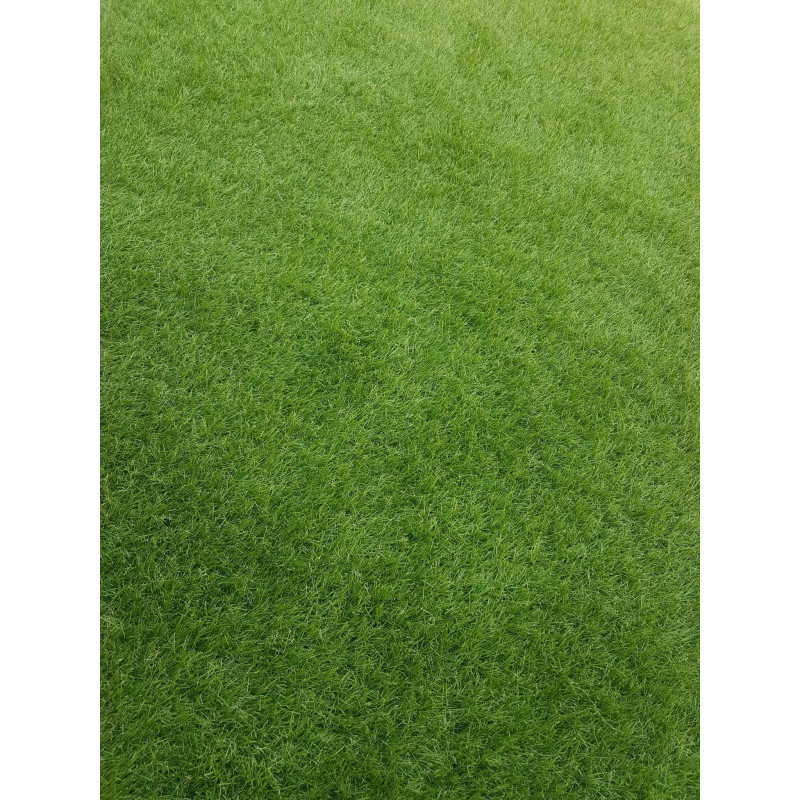 SZTUCZNA TRAWA Z ROLKI ELIT ZIELONA WYKŁADZINA 4cm OGRÓD BALKON 3M UV 10l. SZTUCZNA TRAWA Z ROLKI ELIT ZIELONA WYKŁADZINA 4cm OGRÓD BALKON 3M UV 10l.