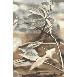 Dywan Agnella Natural-10 Ramo Beż