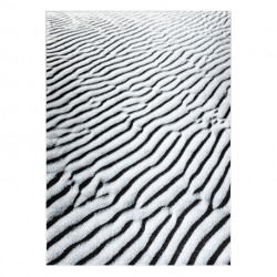 Dywan ARGENT - W9558 Wydmy, piasek szary 160x220cm