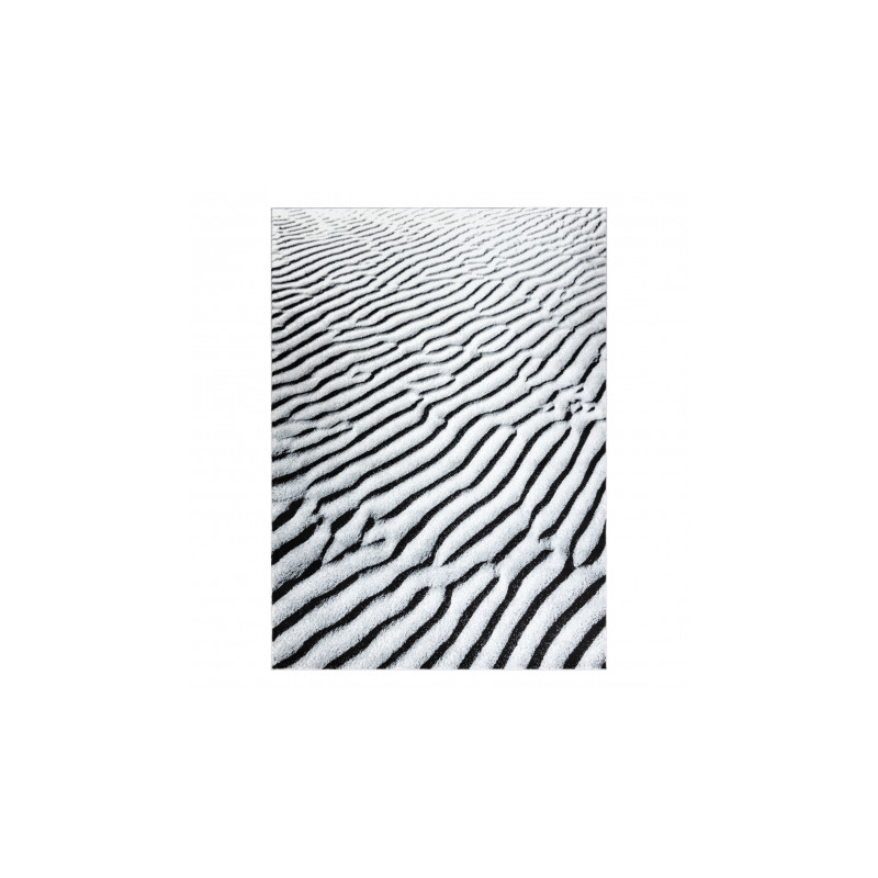 Dywan ARGENT - W9558 Wydmy, piasek szary 160x220cm